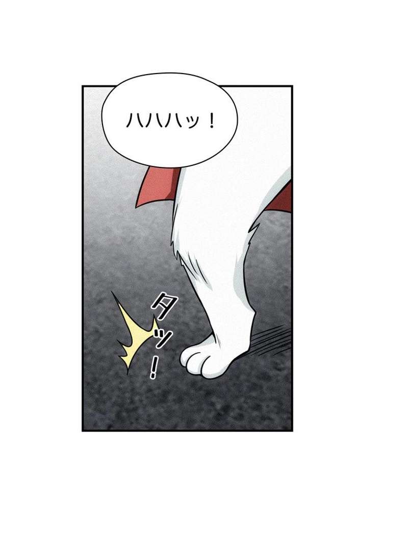 P62