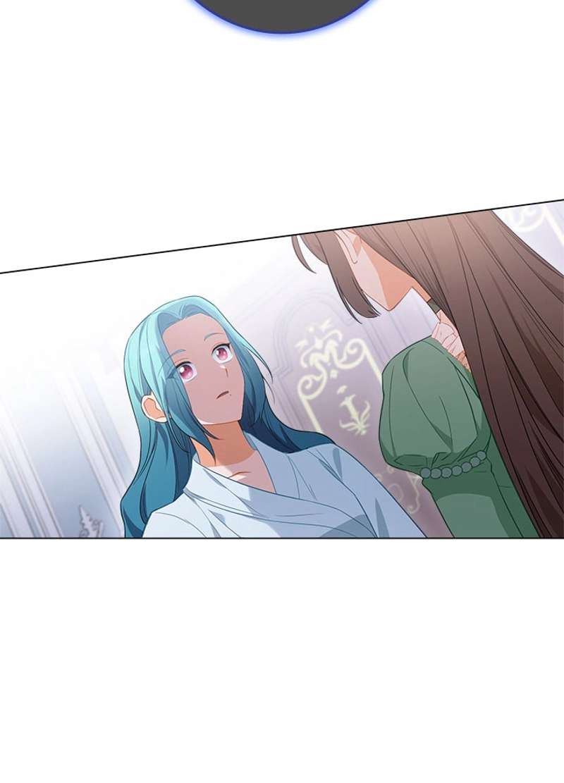P53