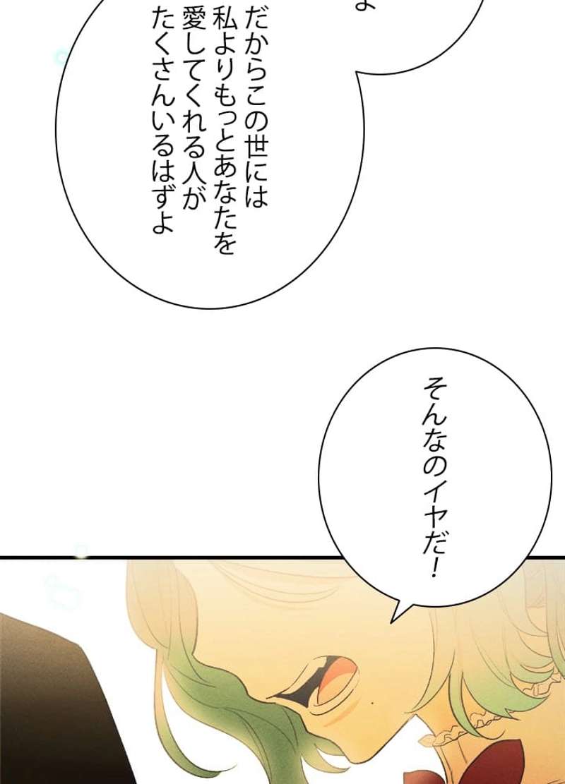 P66
