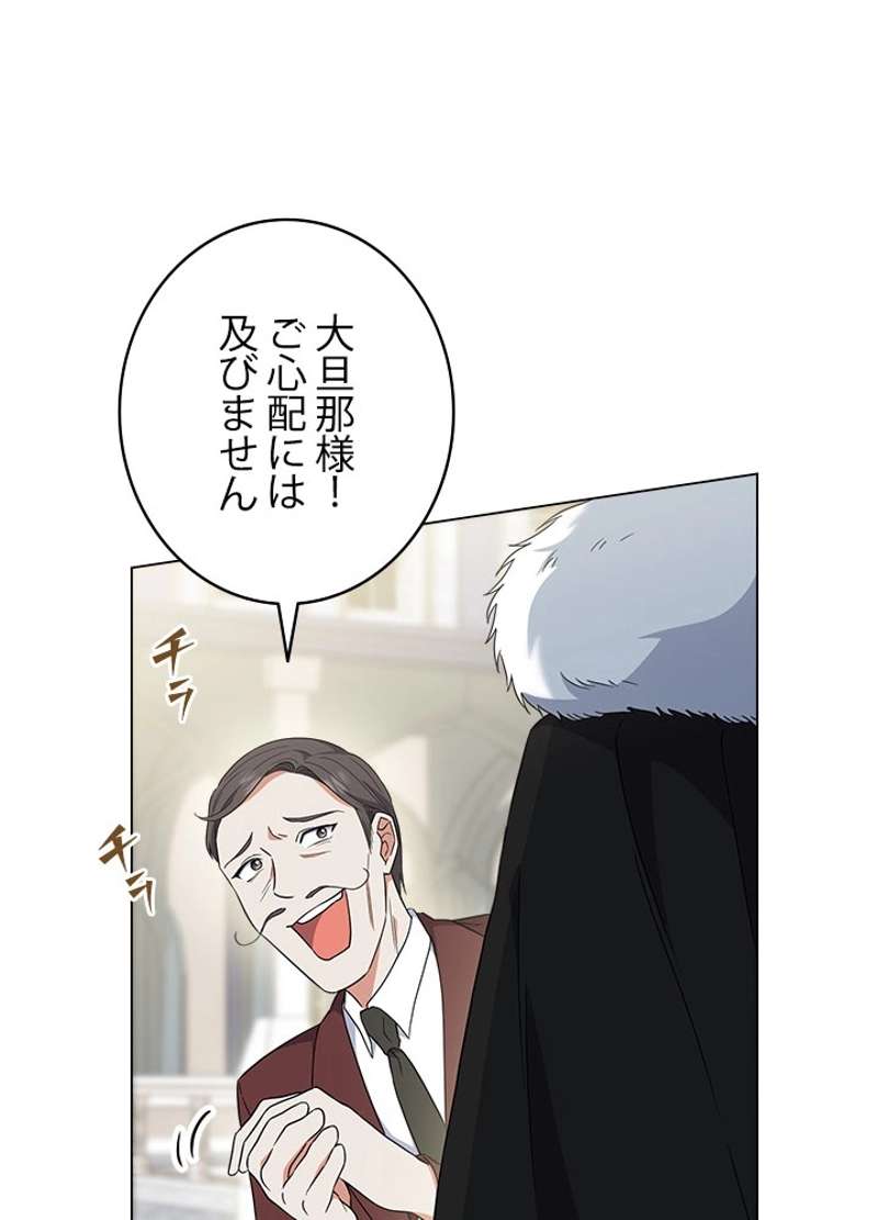 P63