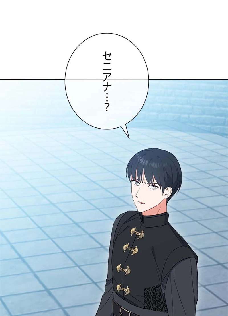 P66