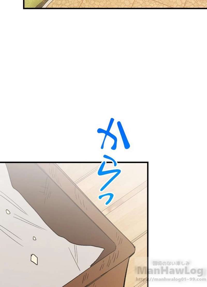 P58