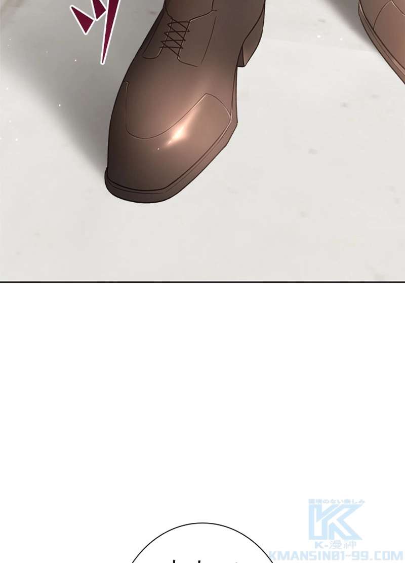 P61