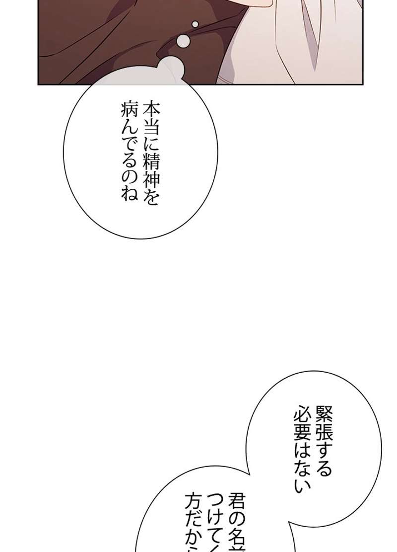 P63