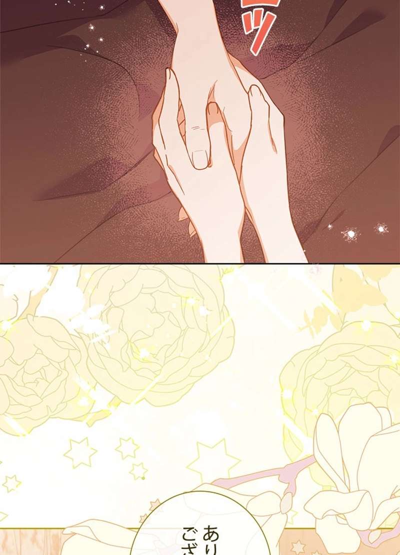 P66