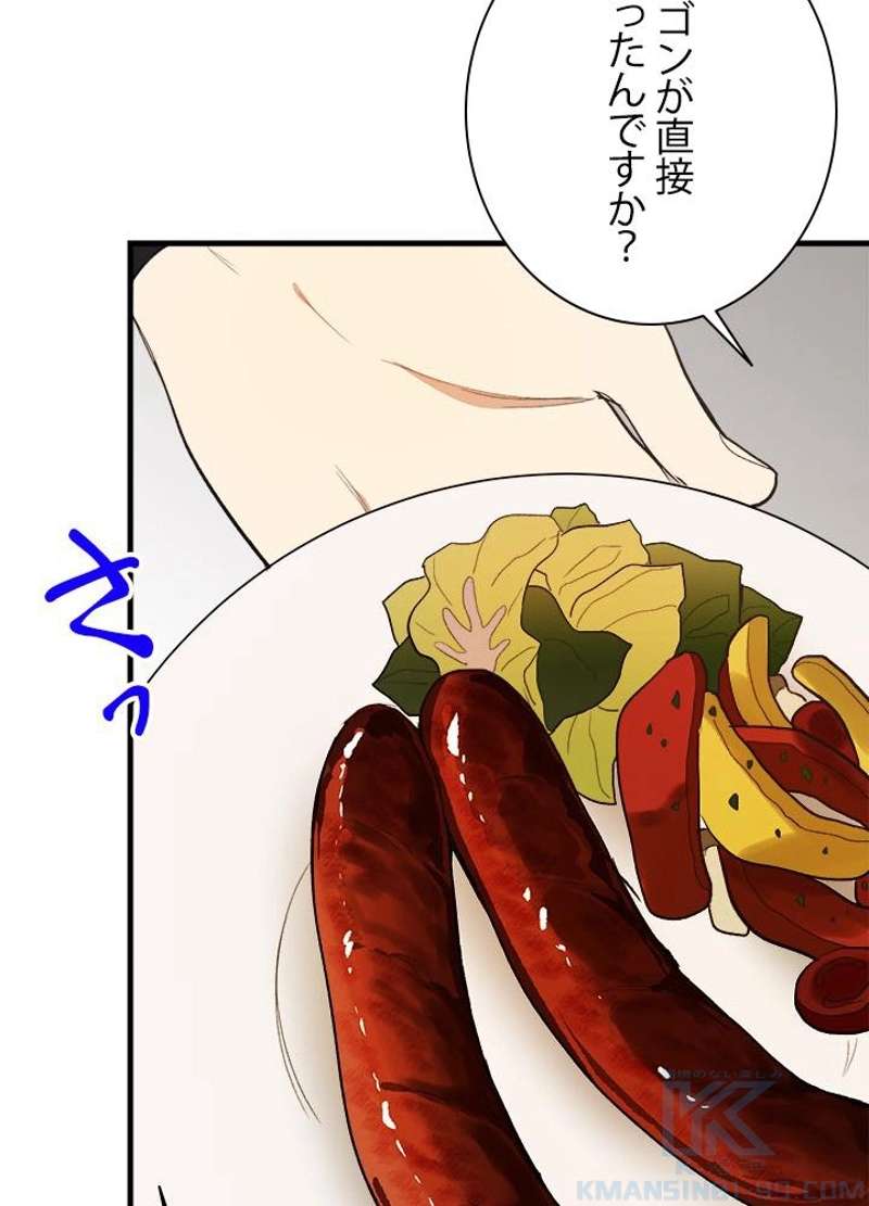 P58