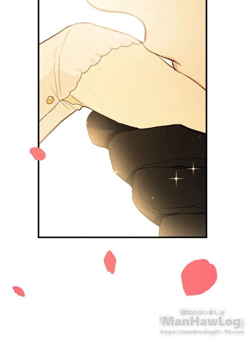 P61