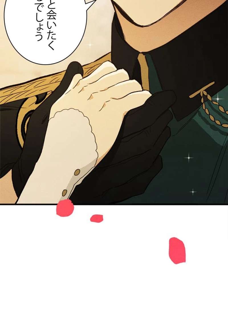 P63