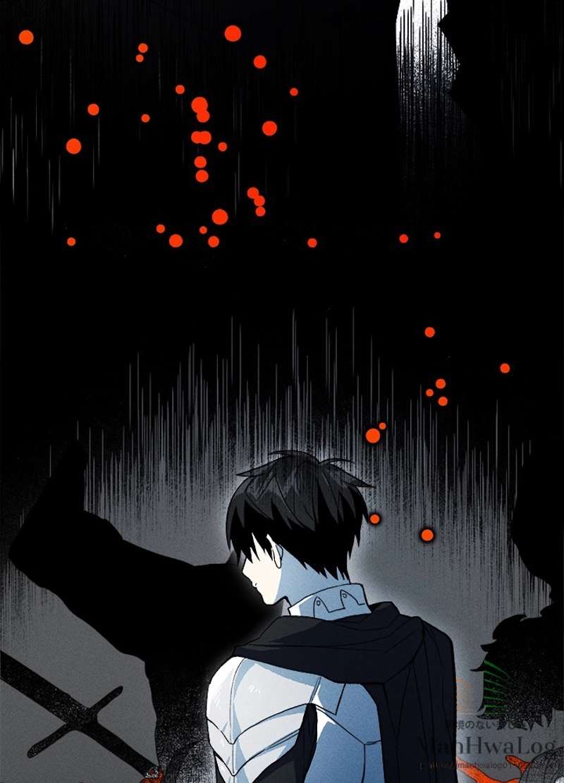 P53