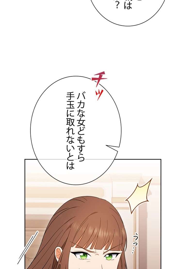 P66
