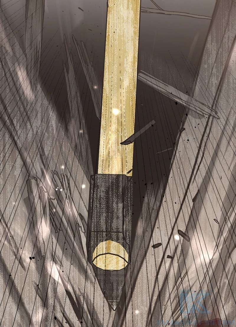 P58