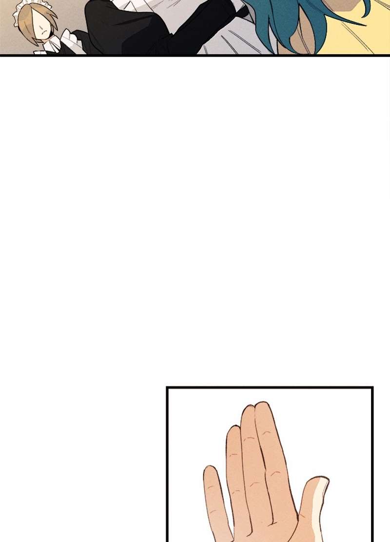 P24
