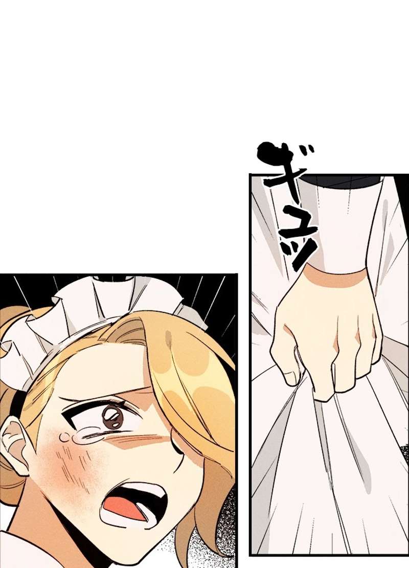 P53
