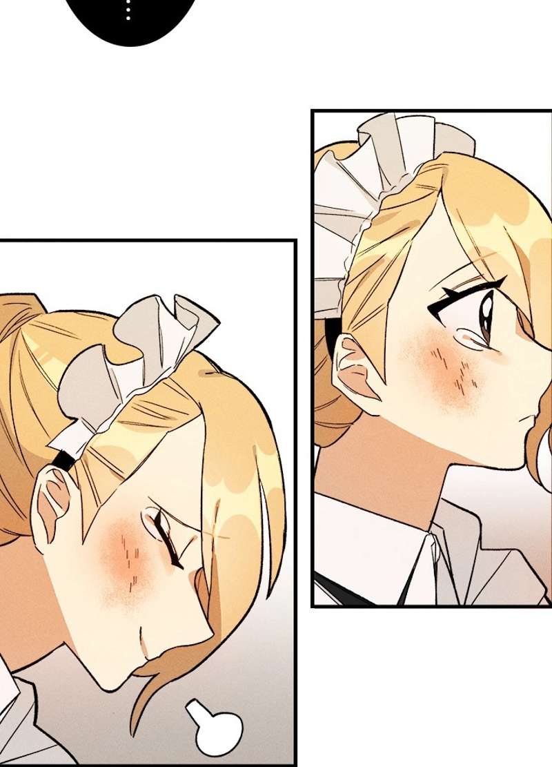 P66