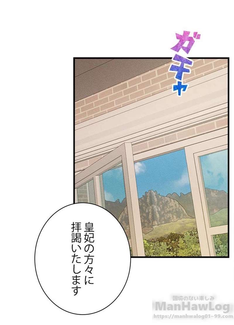 P64