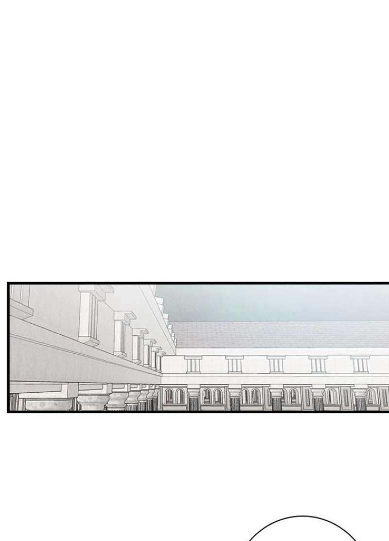 P63