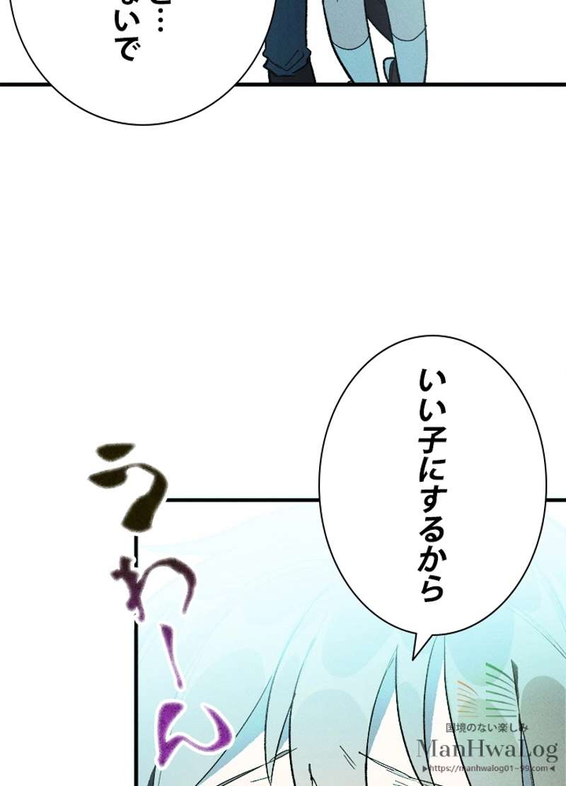 P63