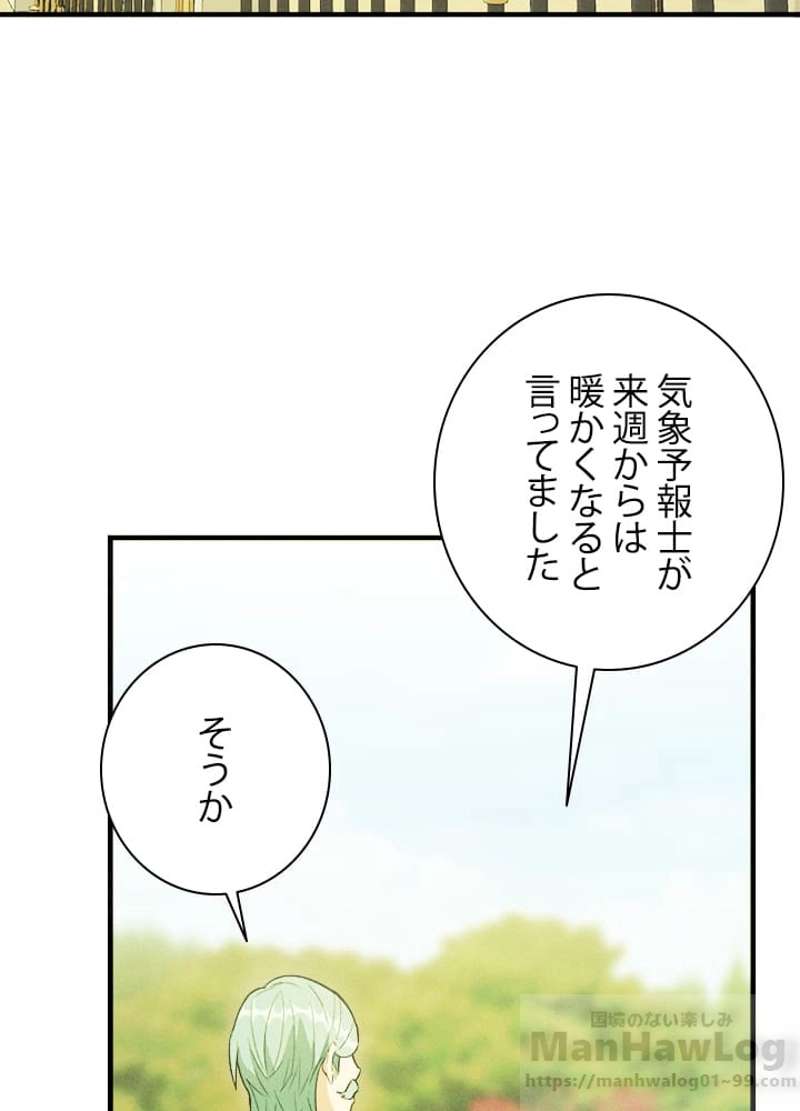 P61