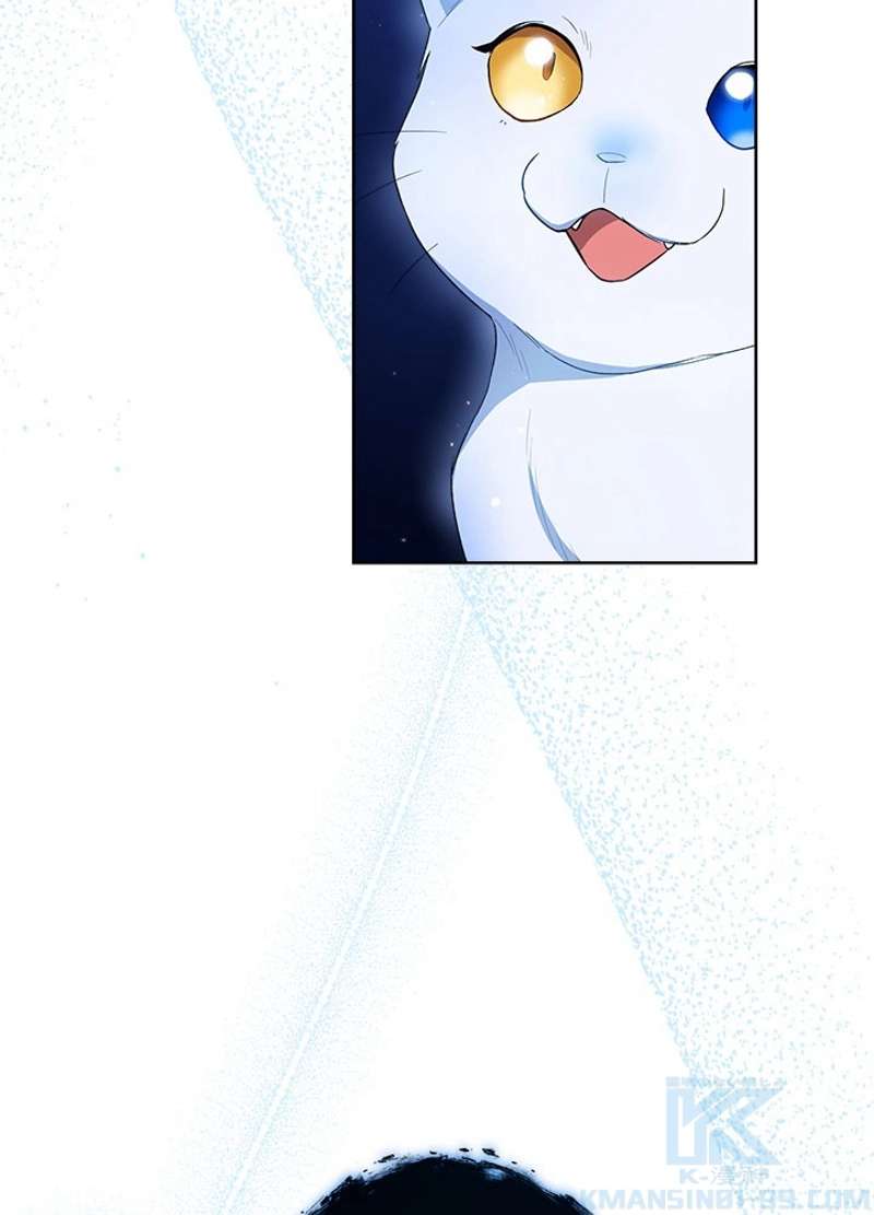 P46