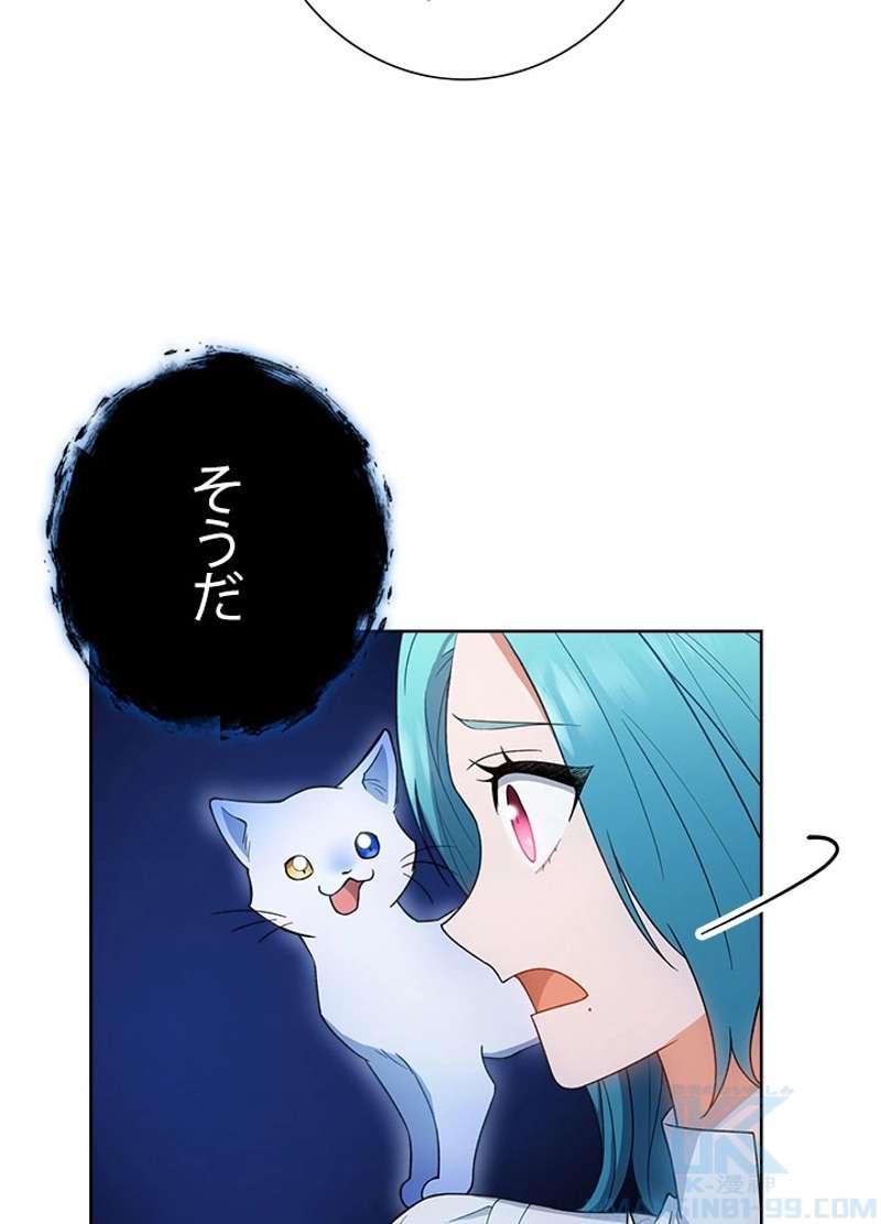 P61