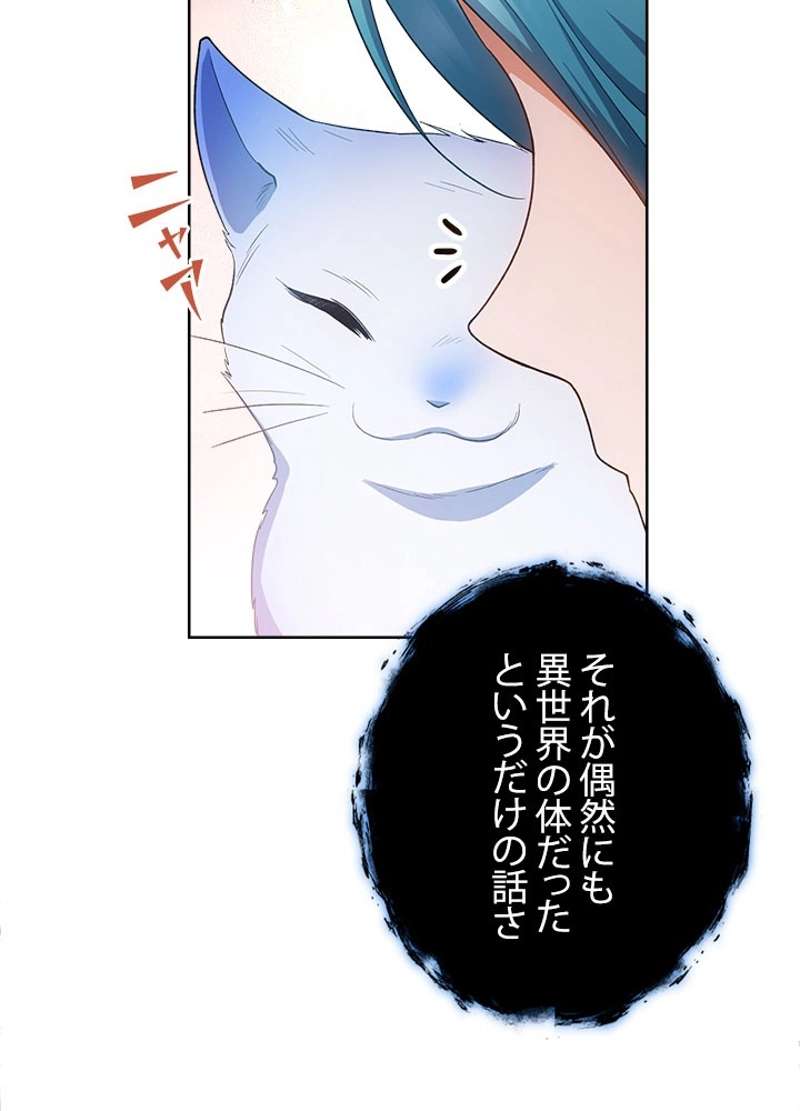 P63