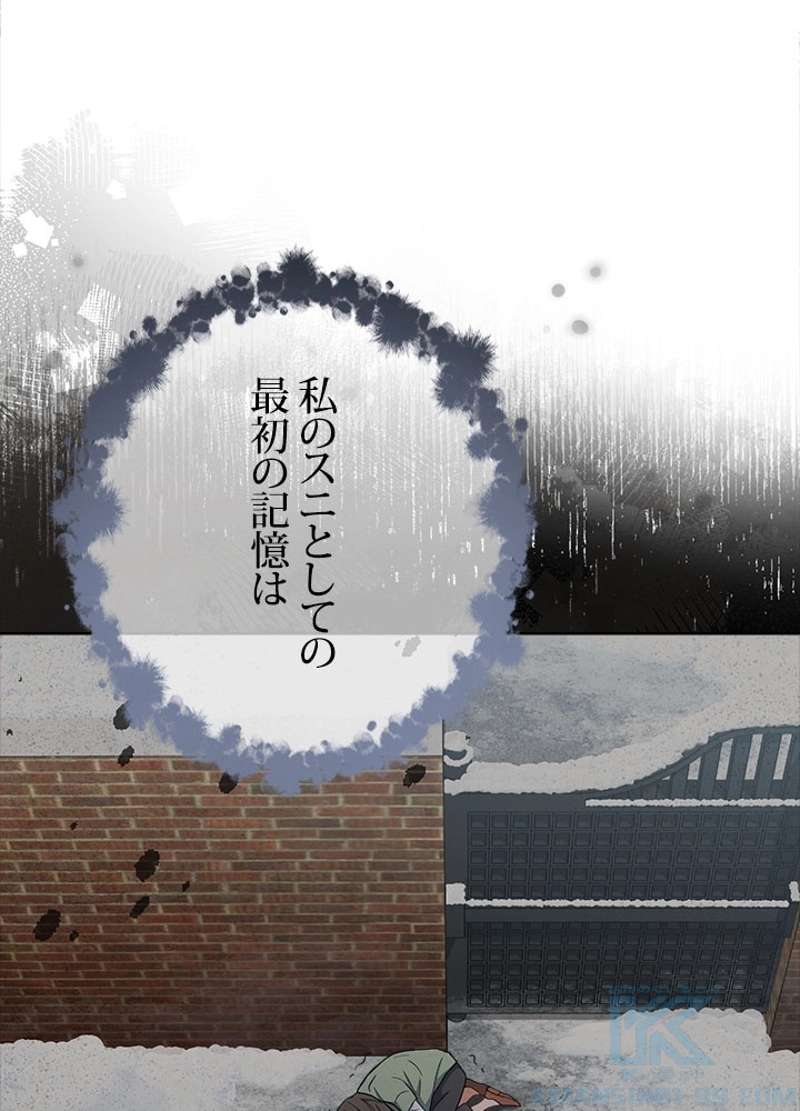 P64