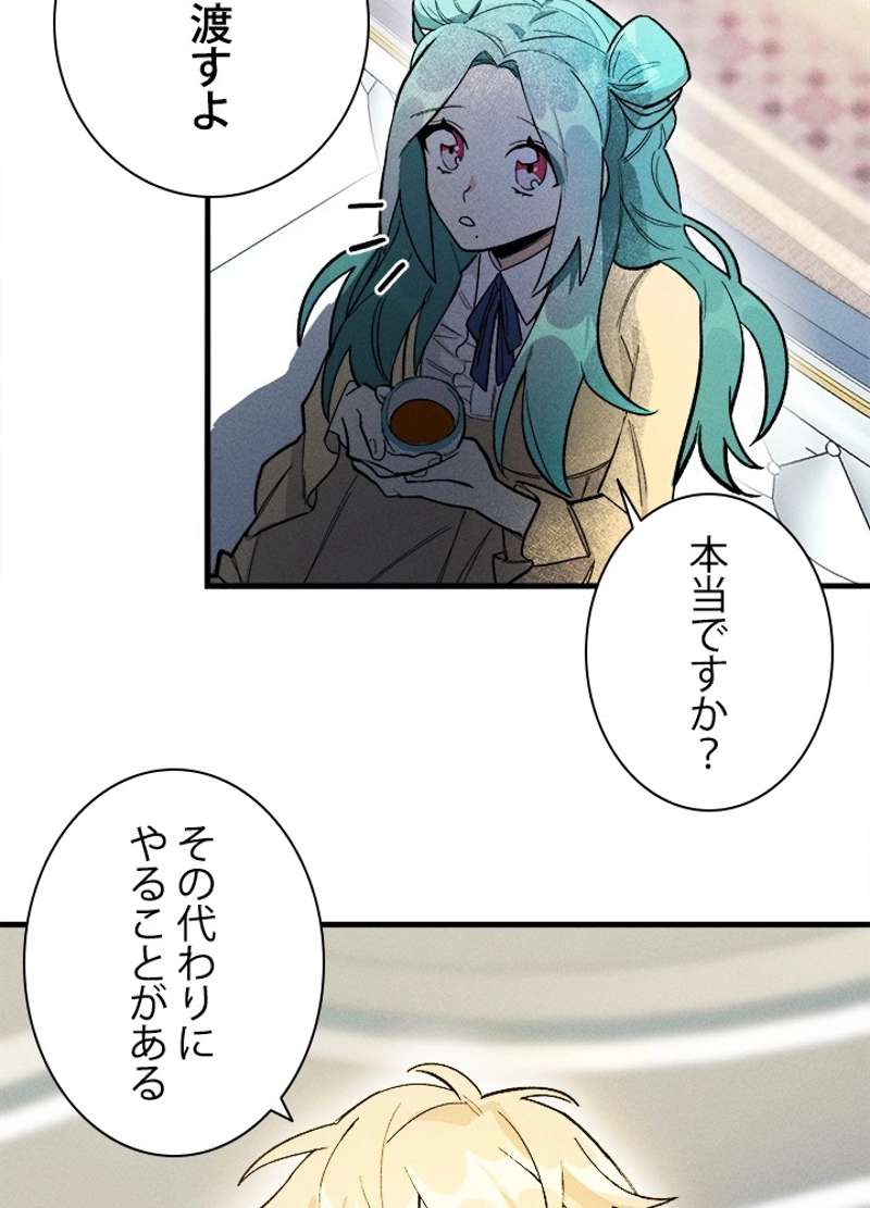 P63