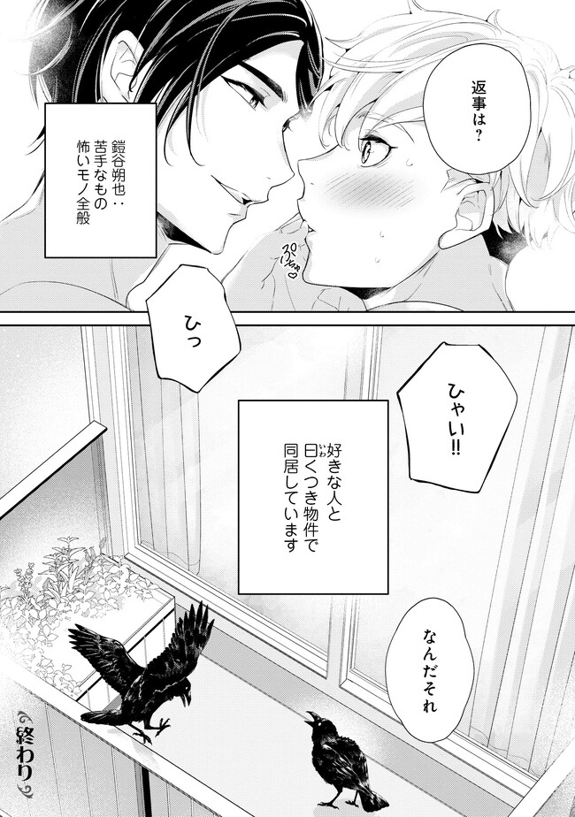 P26