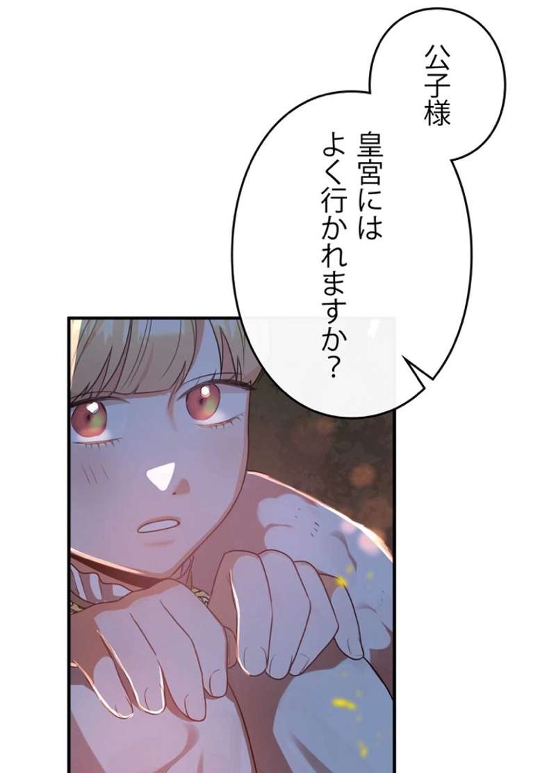 P53