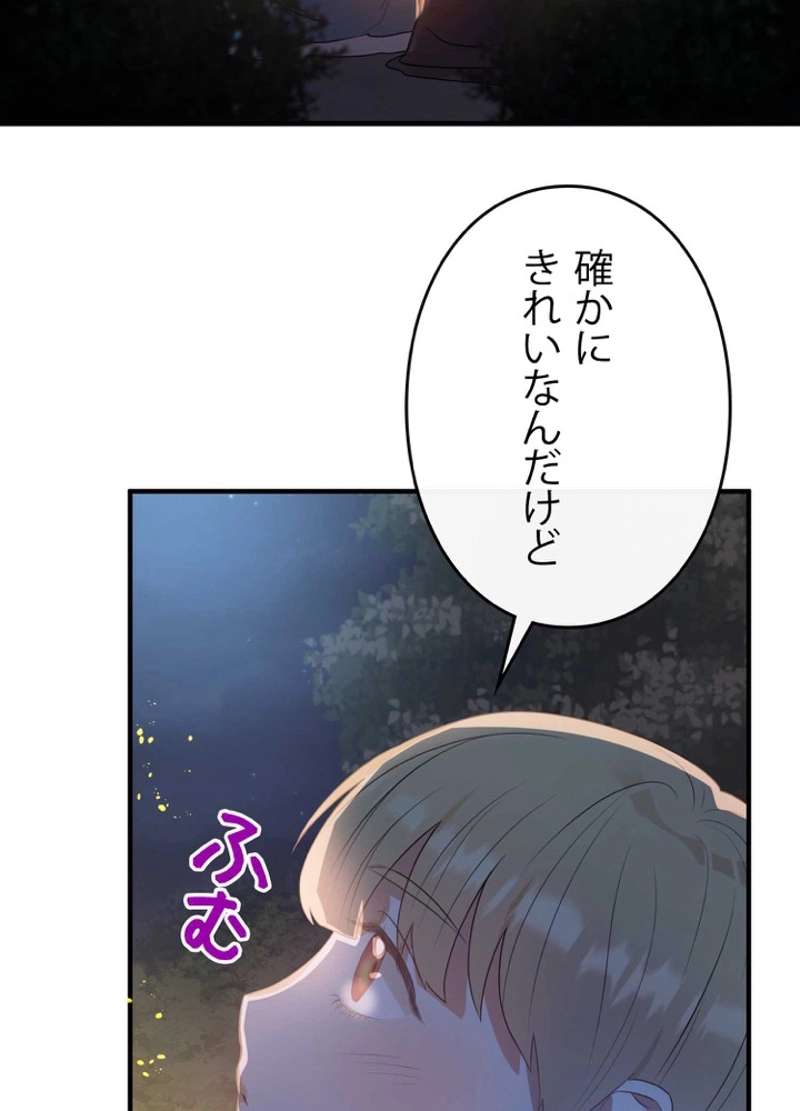 P66