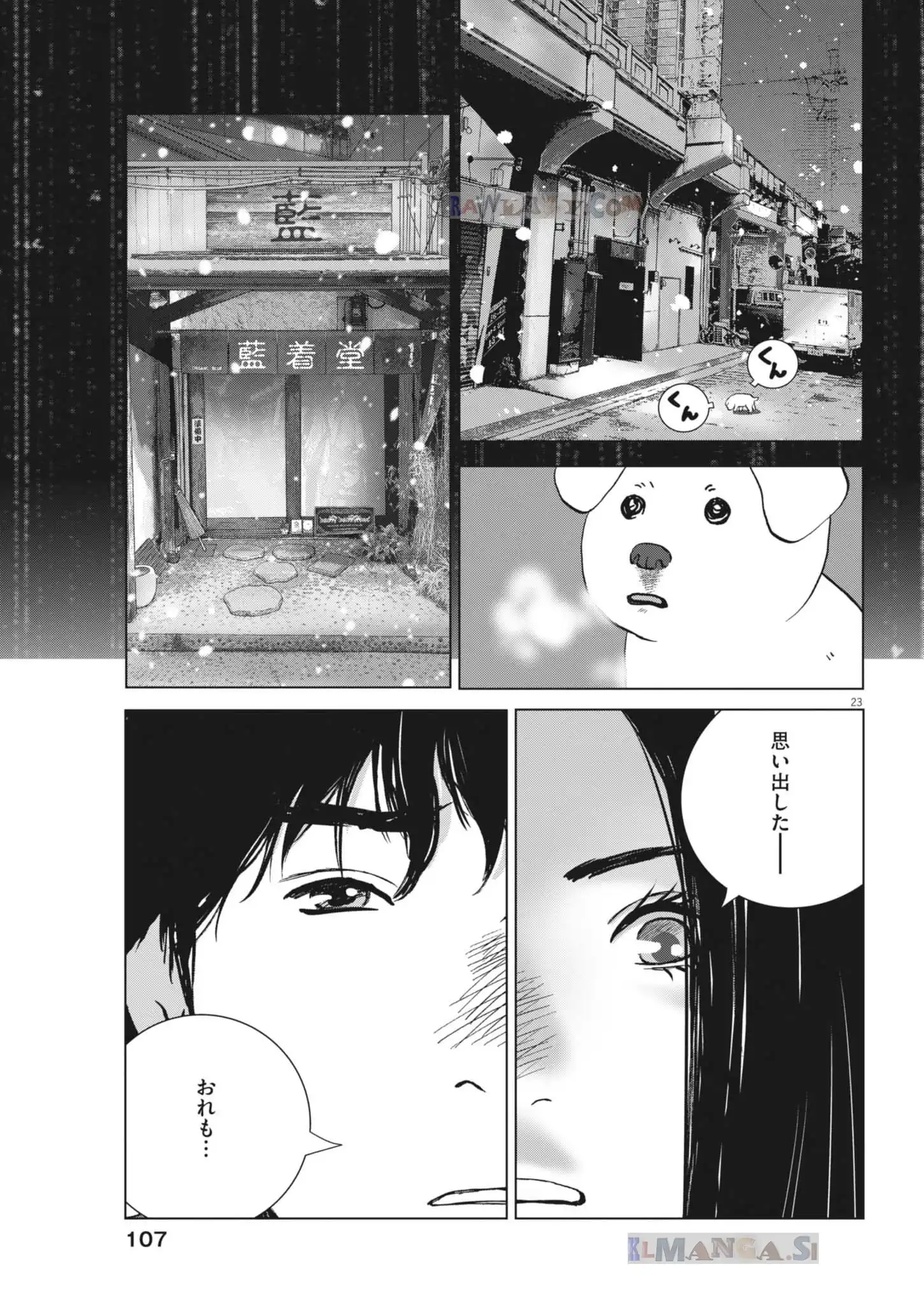 P23