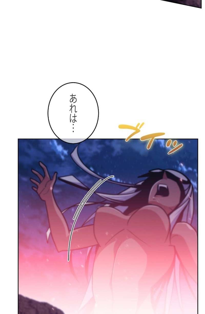 P66