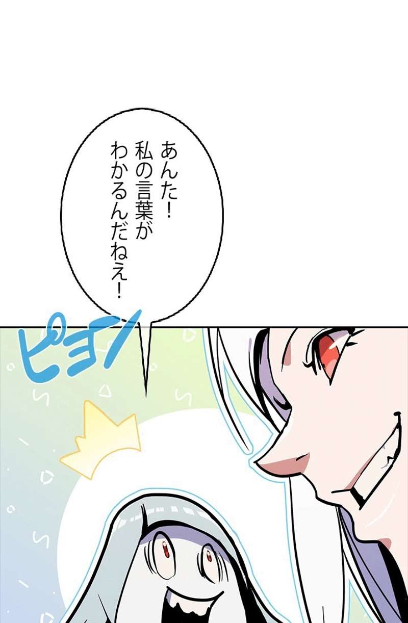 P81