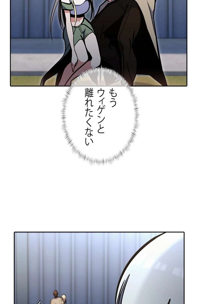 P66