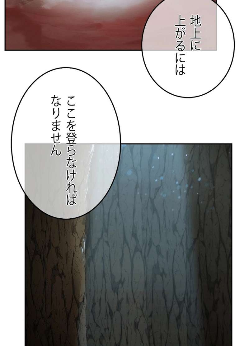 P109