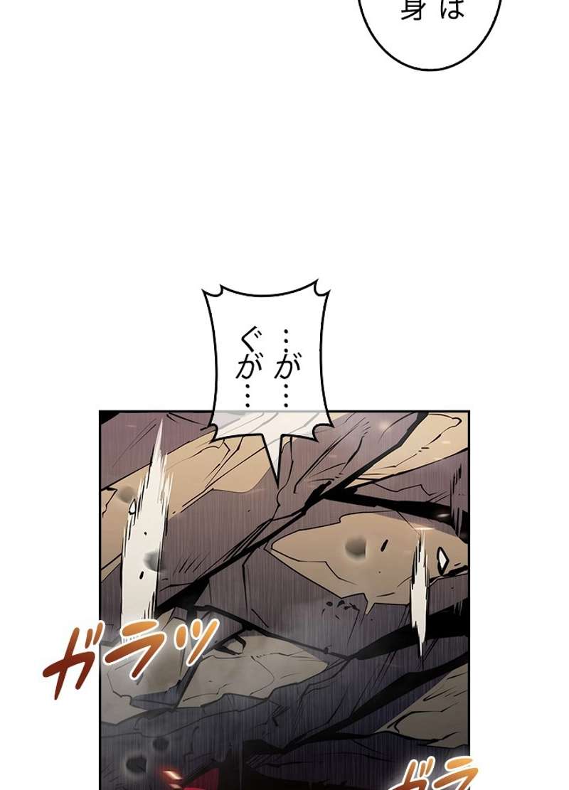 P24