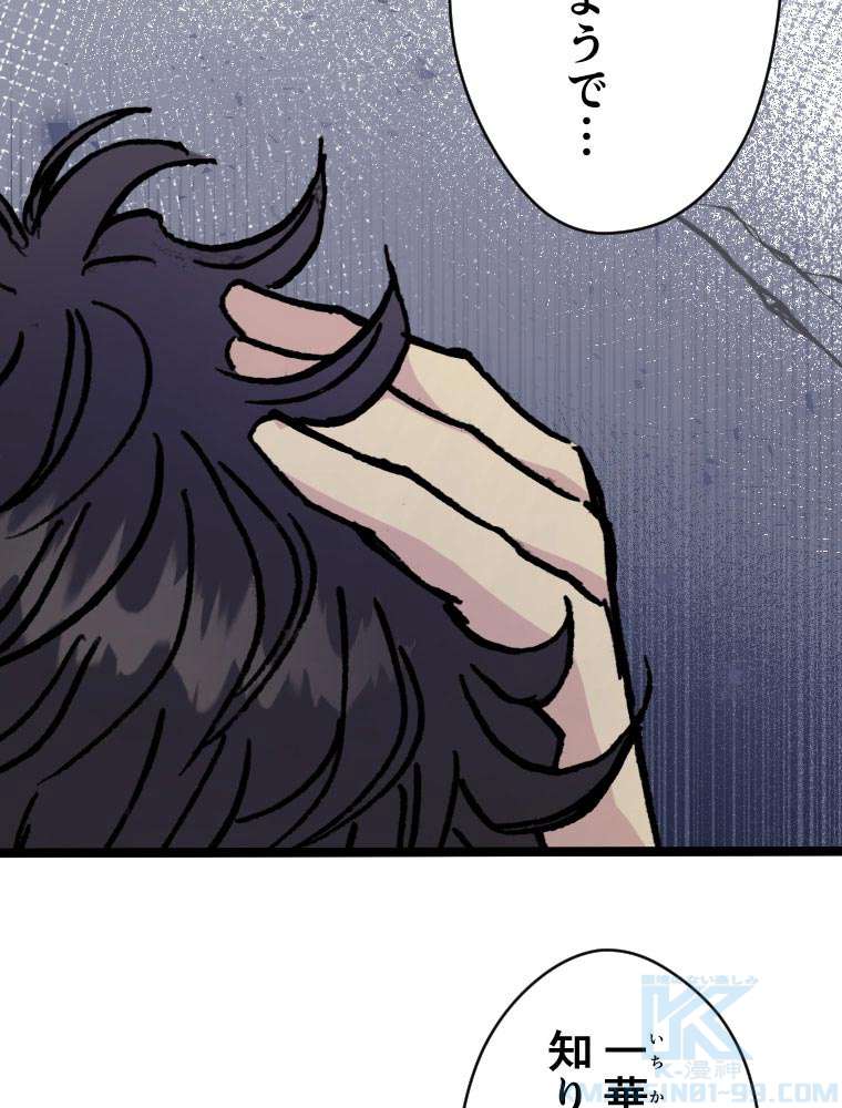 P46