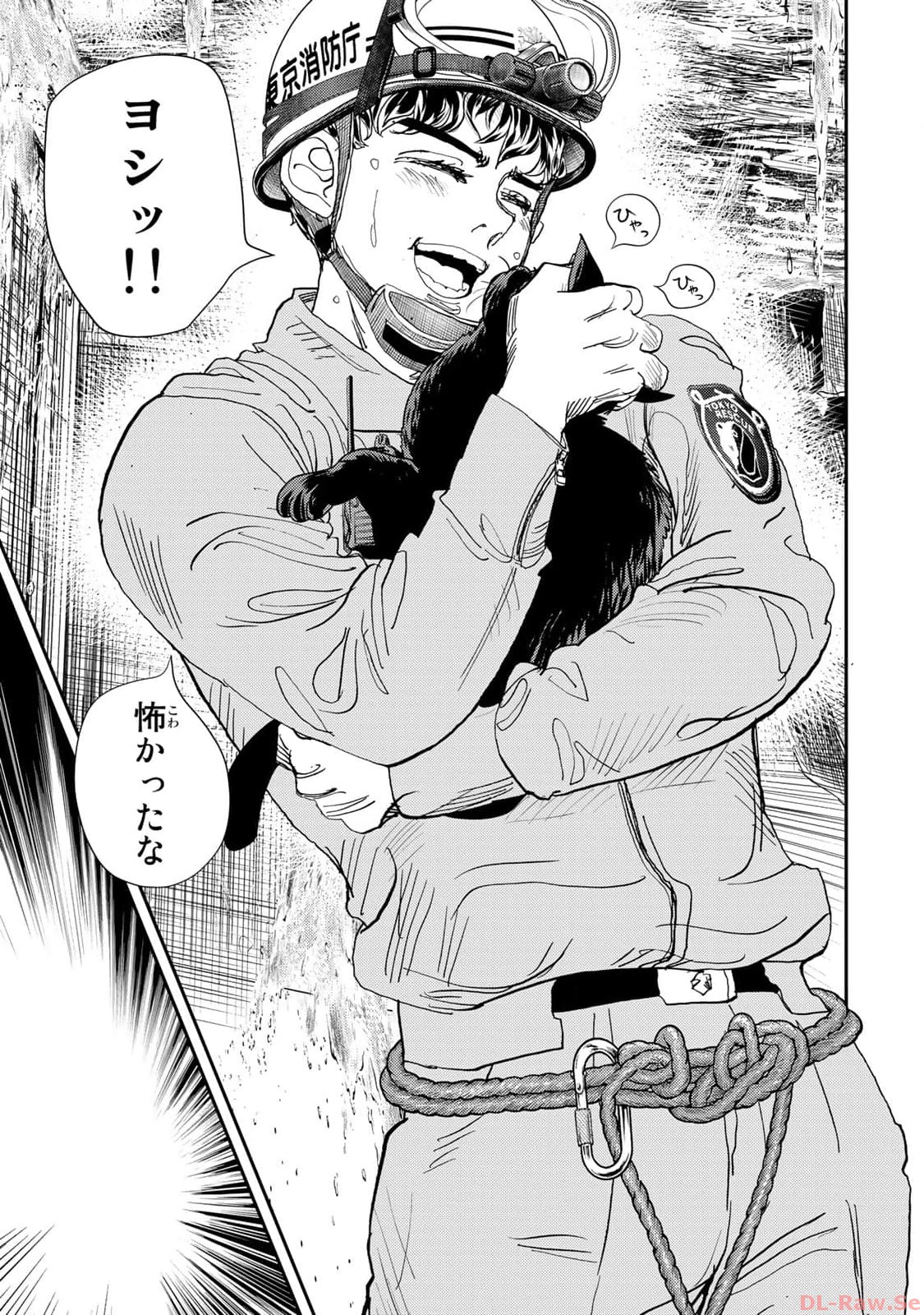 P29
