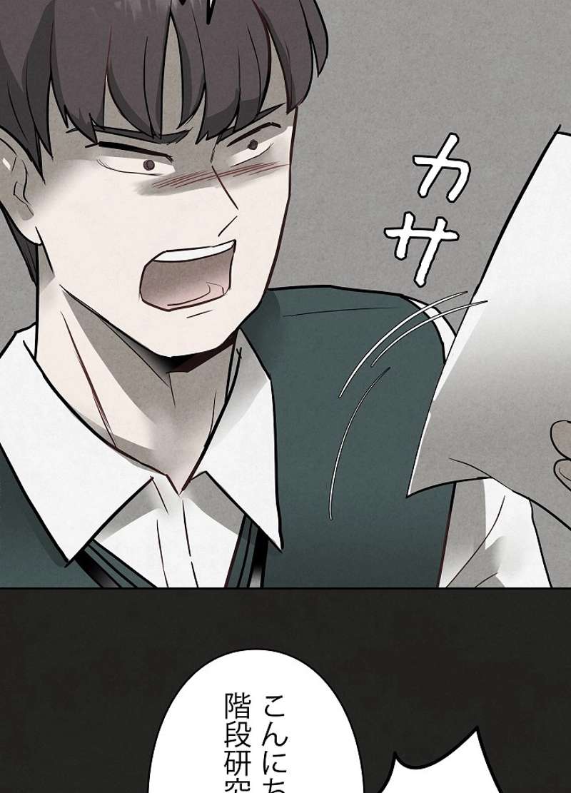 P53