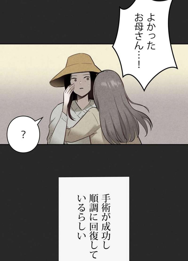 P53