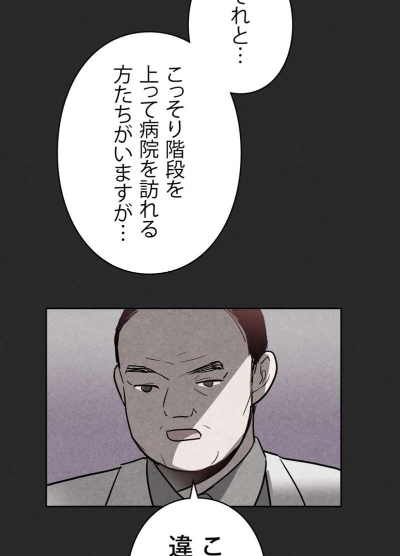 P66