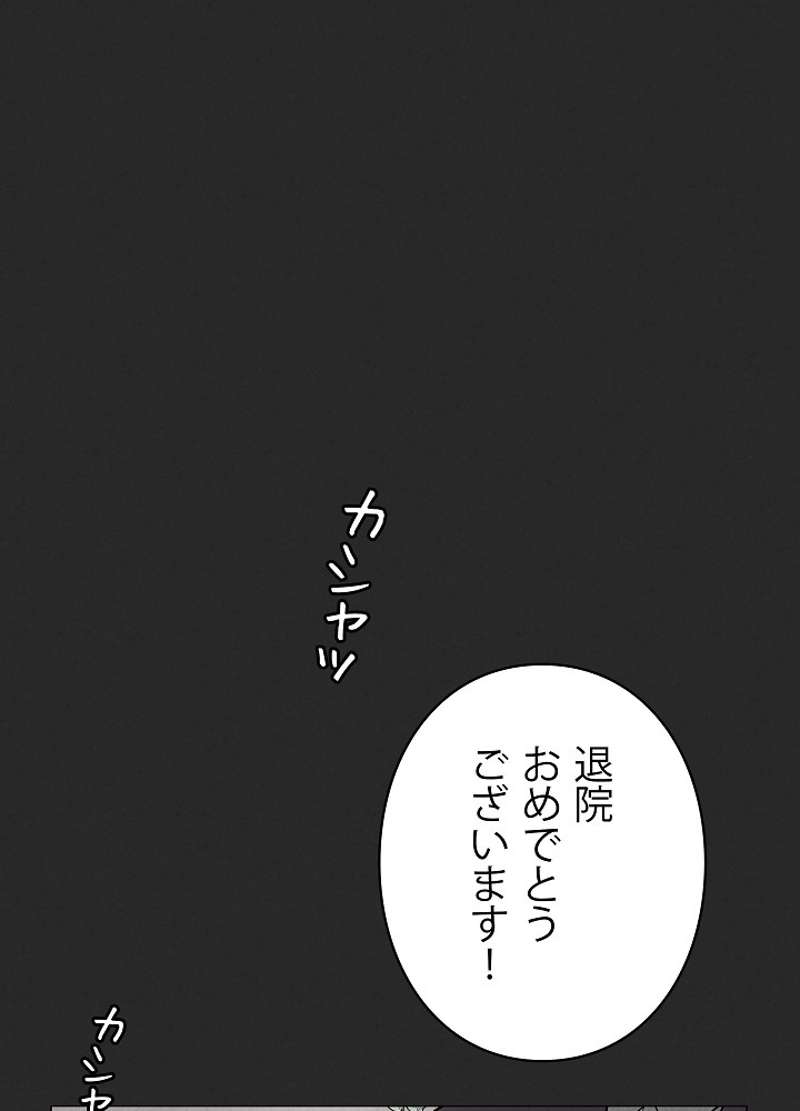 P66