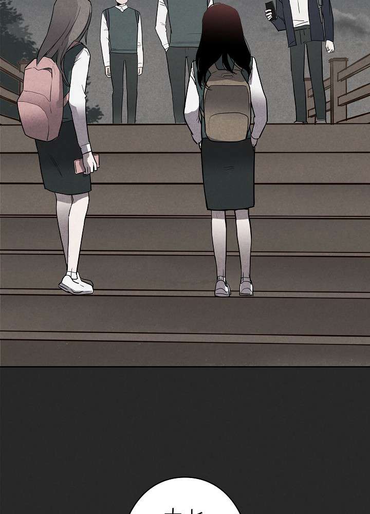 P66