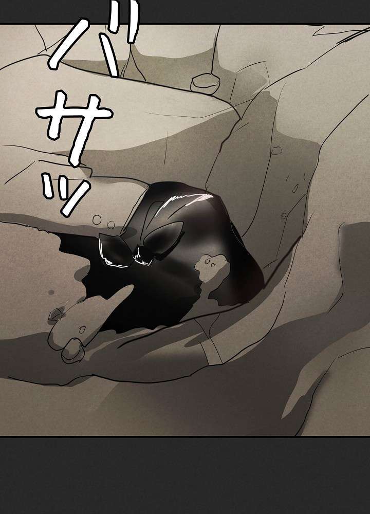 P84