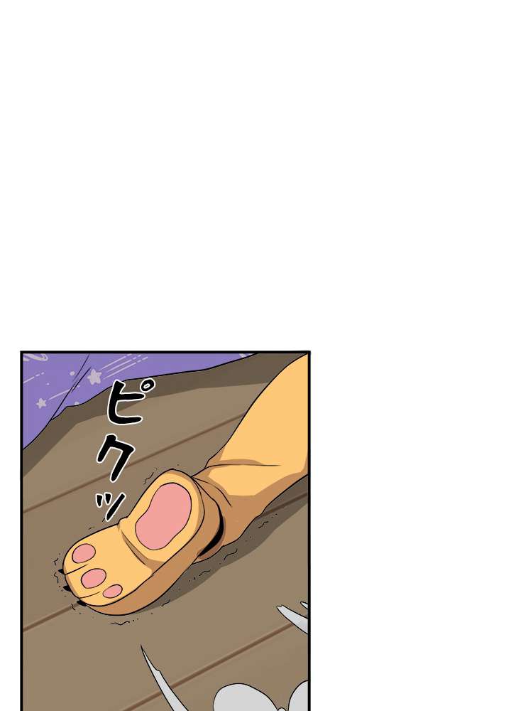 P102