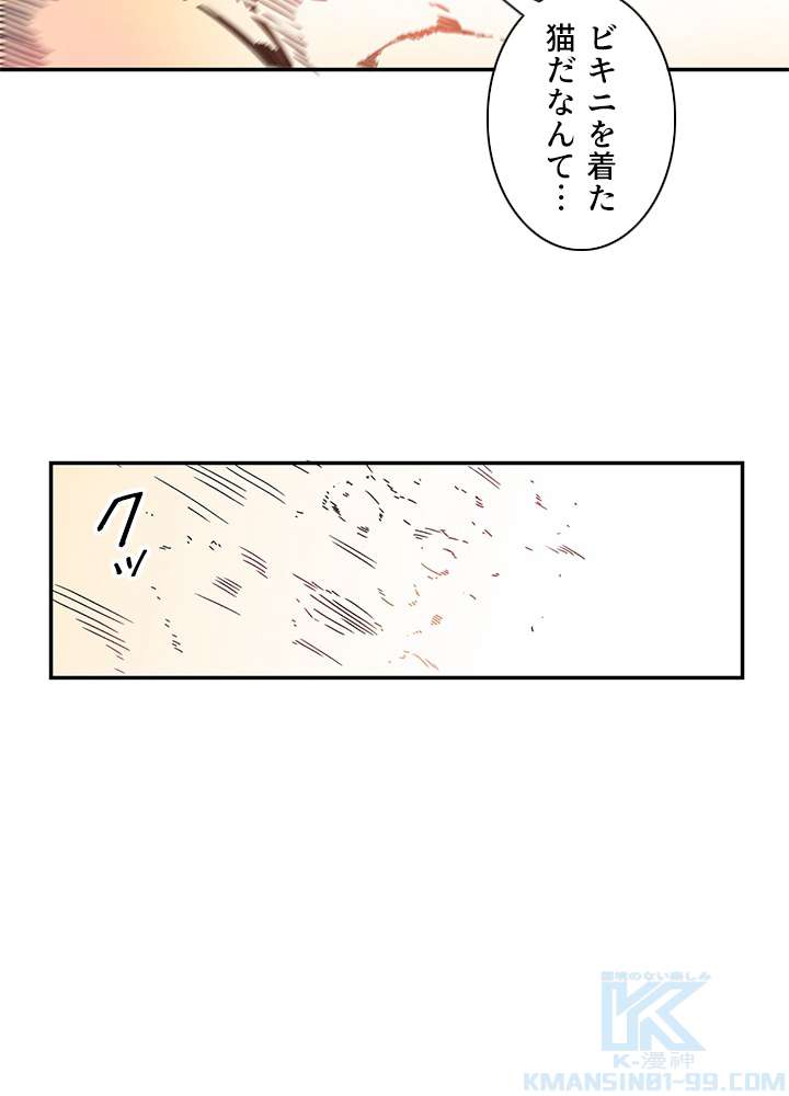 P91