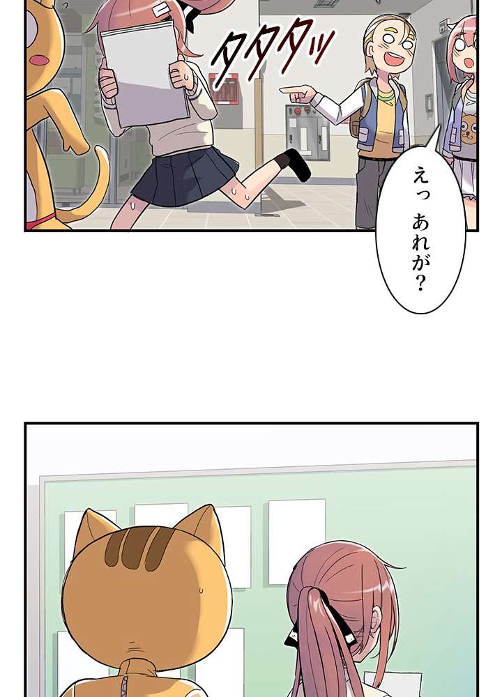 P60