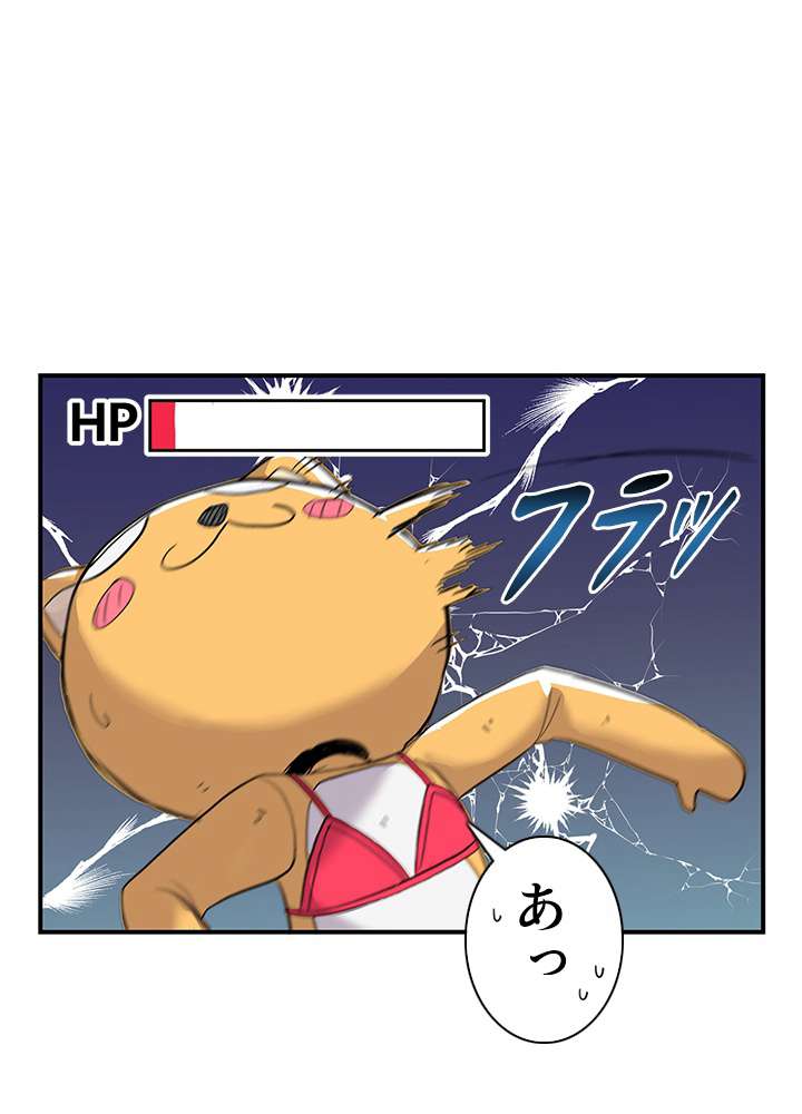 P66