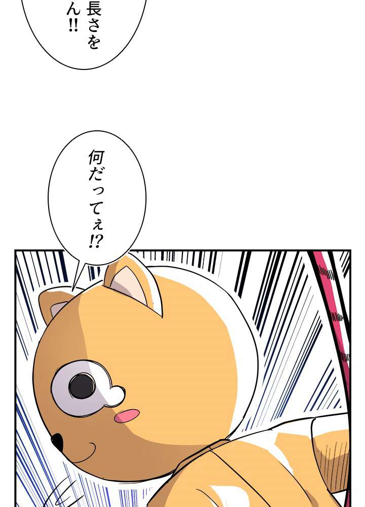 P113