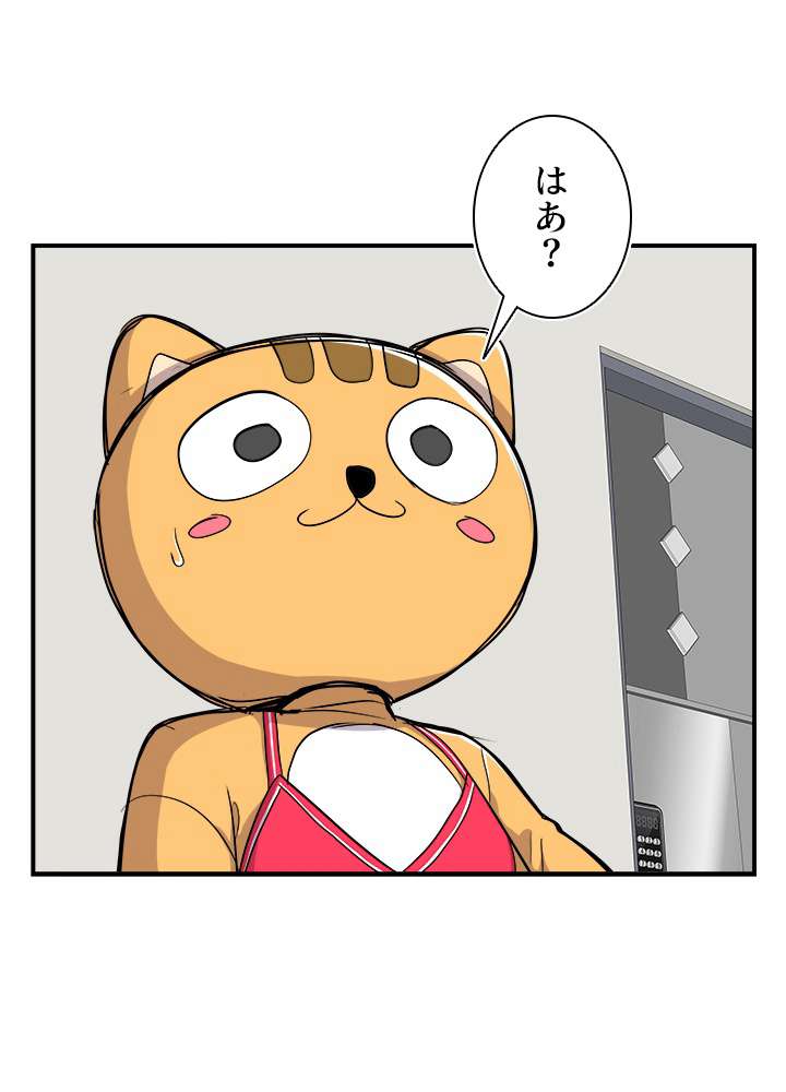 P42